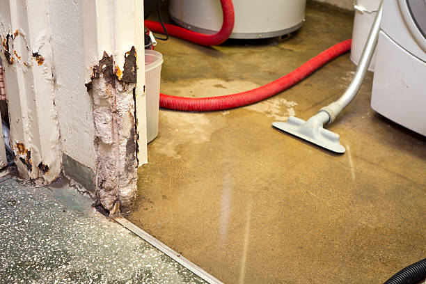 emergency basement leak repair company Overland Park, KS