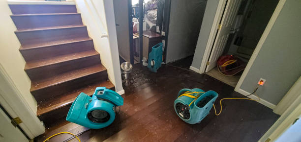 water damage cleanup Overland Park, KS